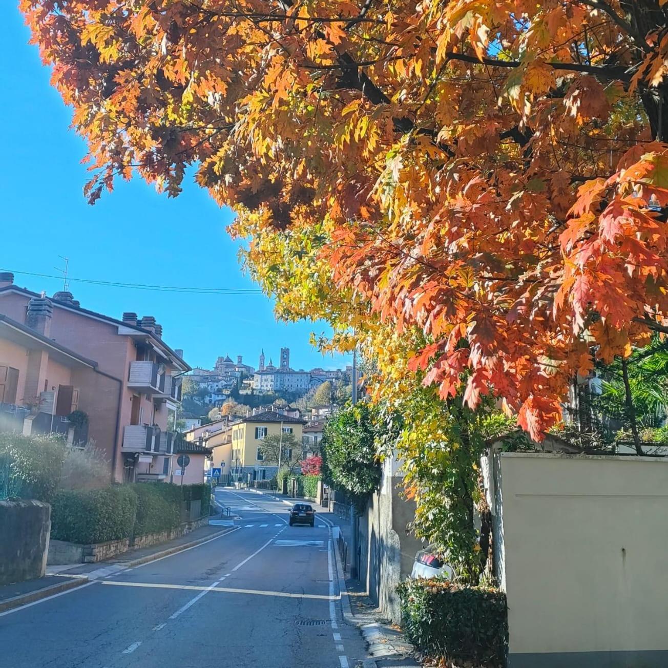 Nelly Bergamo Apartments Esterno foto